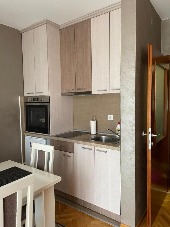 Apartman Miniki Vrnjačka Banja Kültér fotó