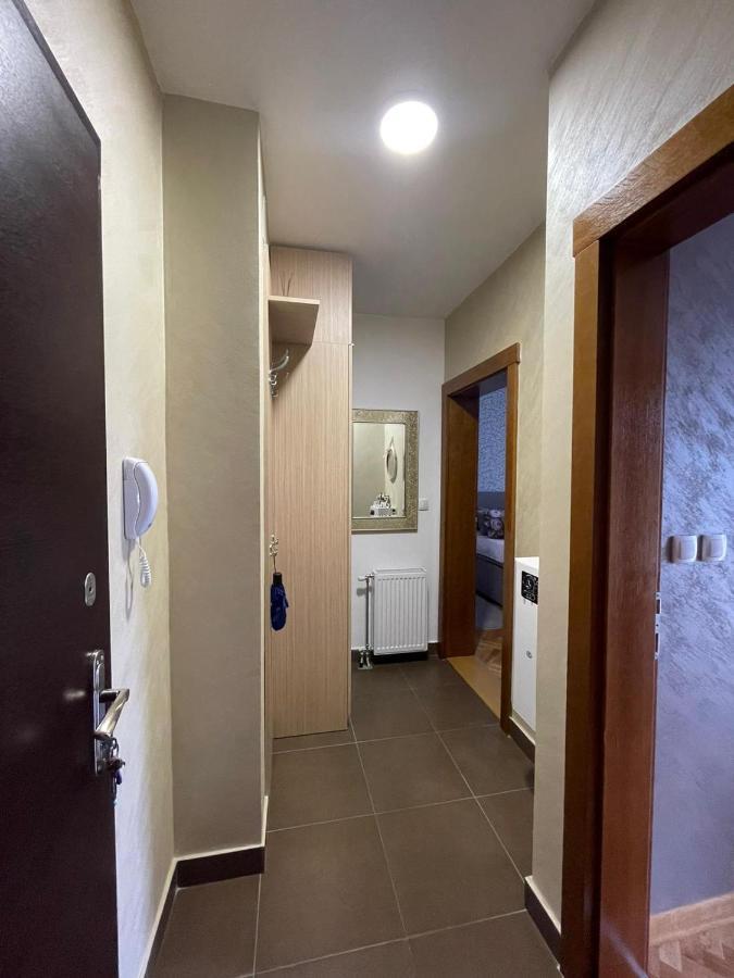 Apartman Miniki Vrnjačka Banja Kültér fotó
